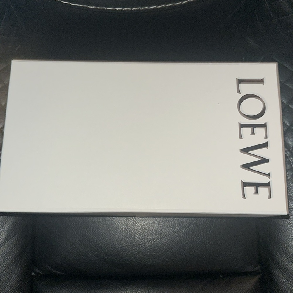 Loewe Petal brush heel sandals $1700 Sz40 NIB - Picture 7 of 12